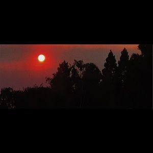 Meet your Posher, Kendall